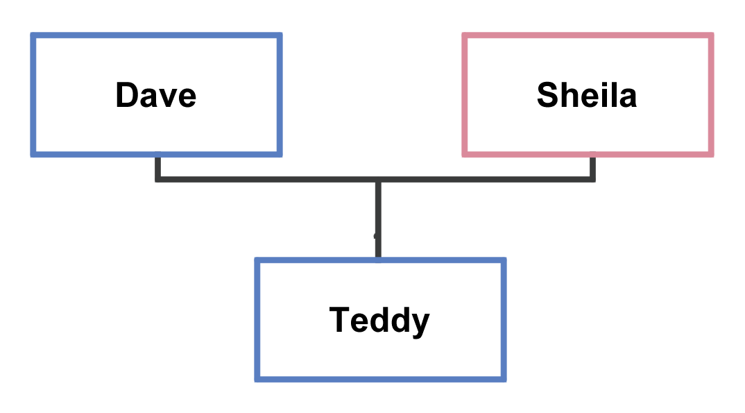 Dave Family Tree