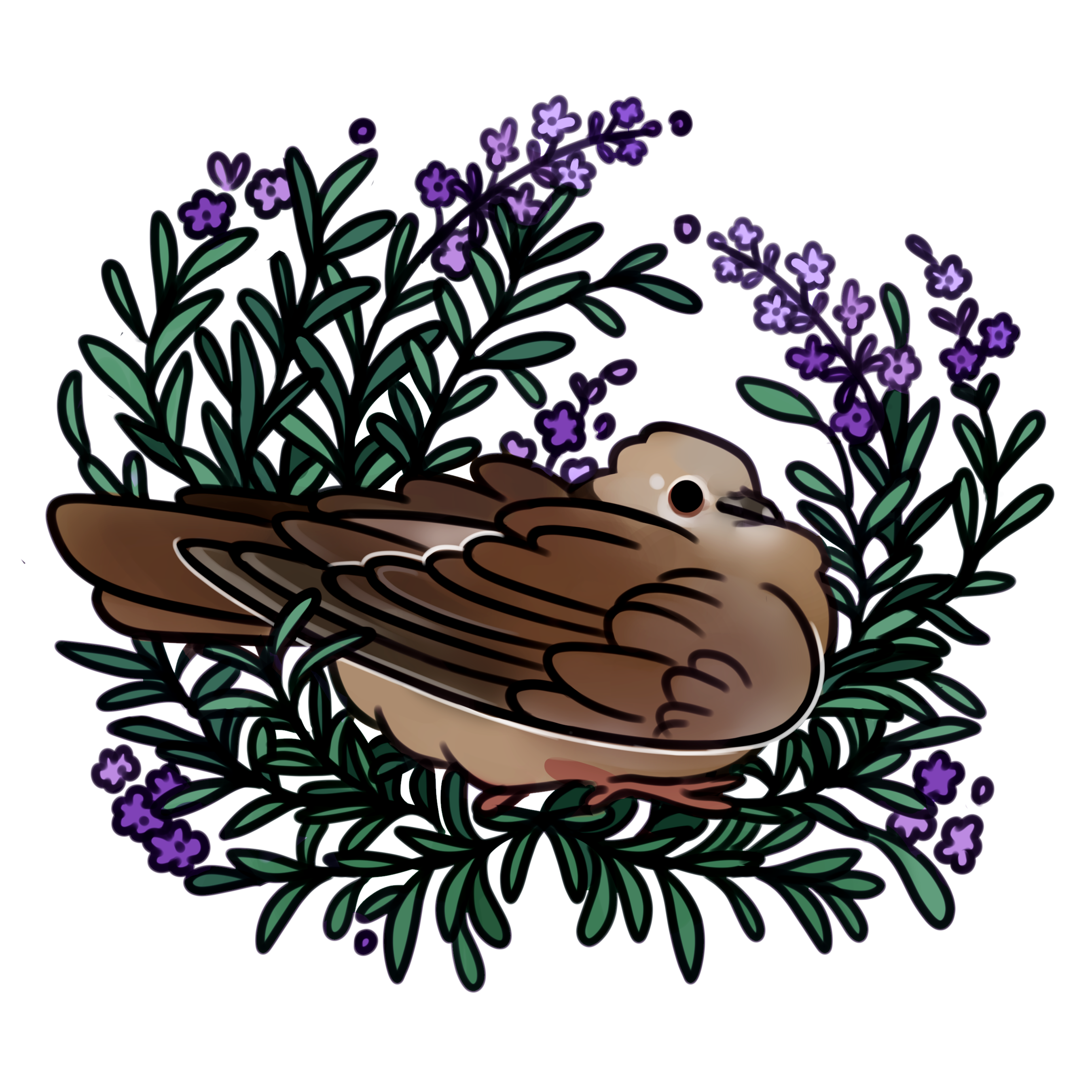 pigeon.cafe - Commissioned art of Pigwig by Meesh